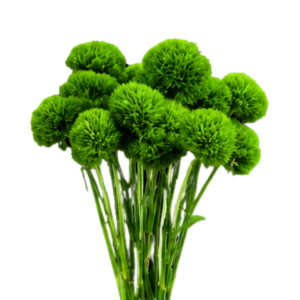 Green Trick